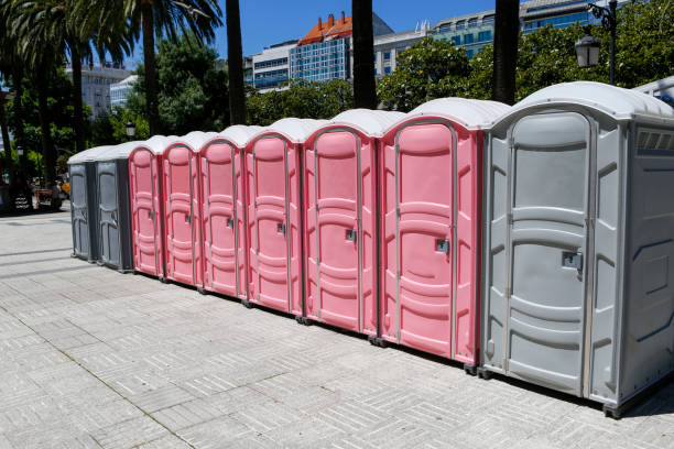 Best Standard Portable Toilet Rental  in Chatfield, MN